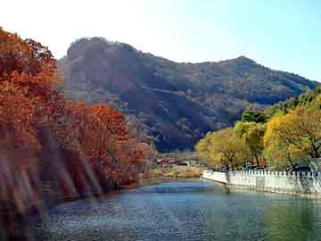 天天彩好彩天天免费，氟苯尼考助溶剂